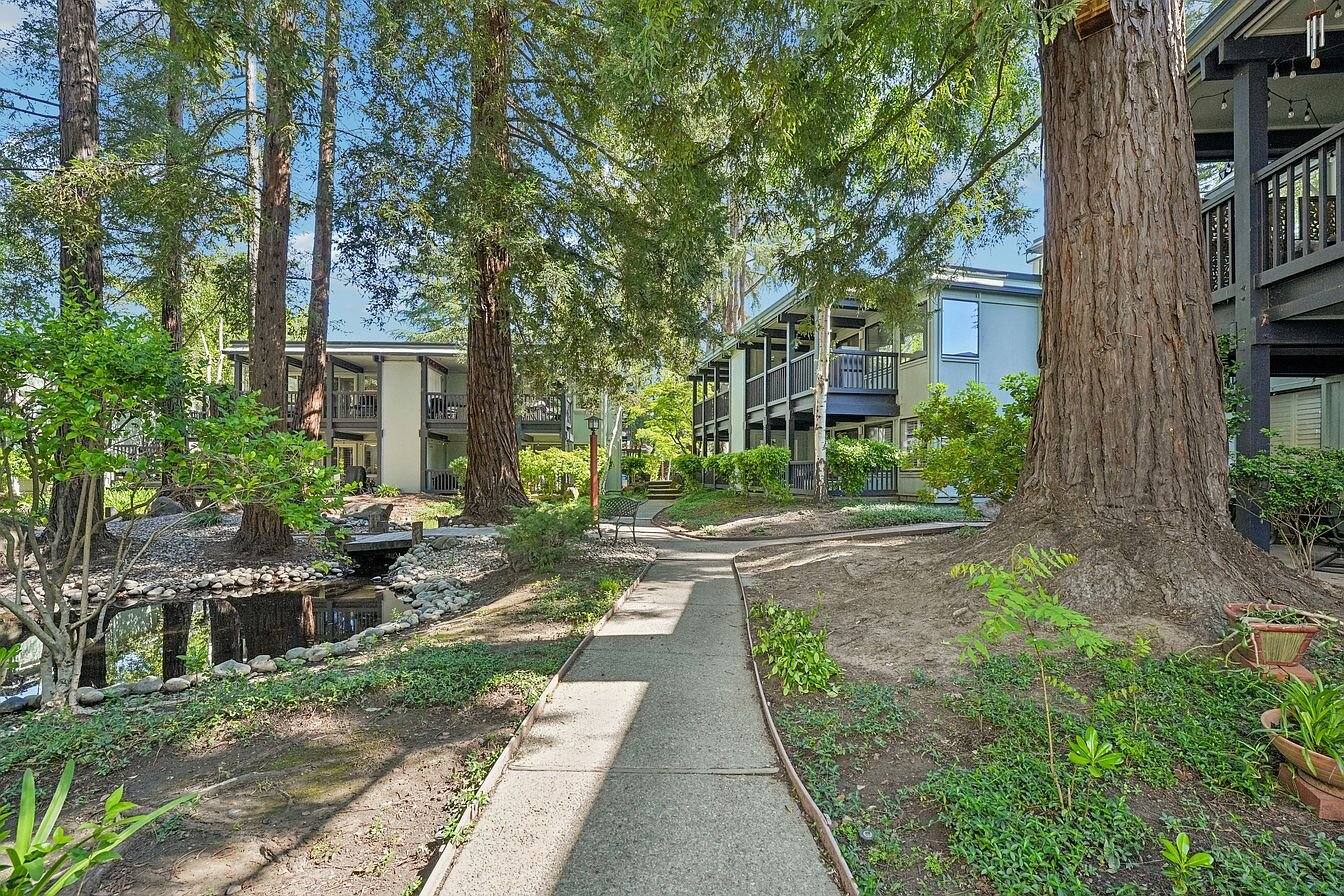 153 Rubicon Cir, Danville: listing photo 4